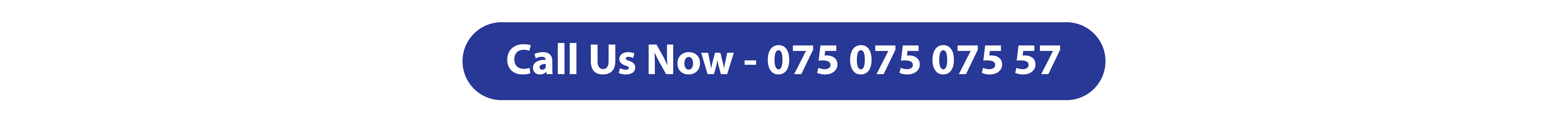 we provide